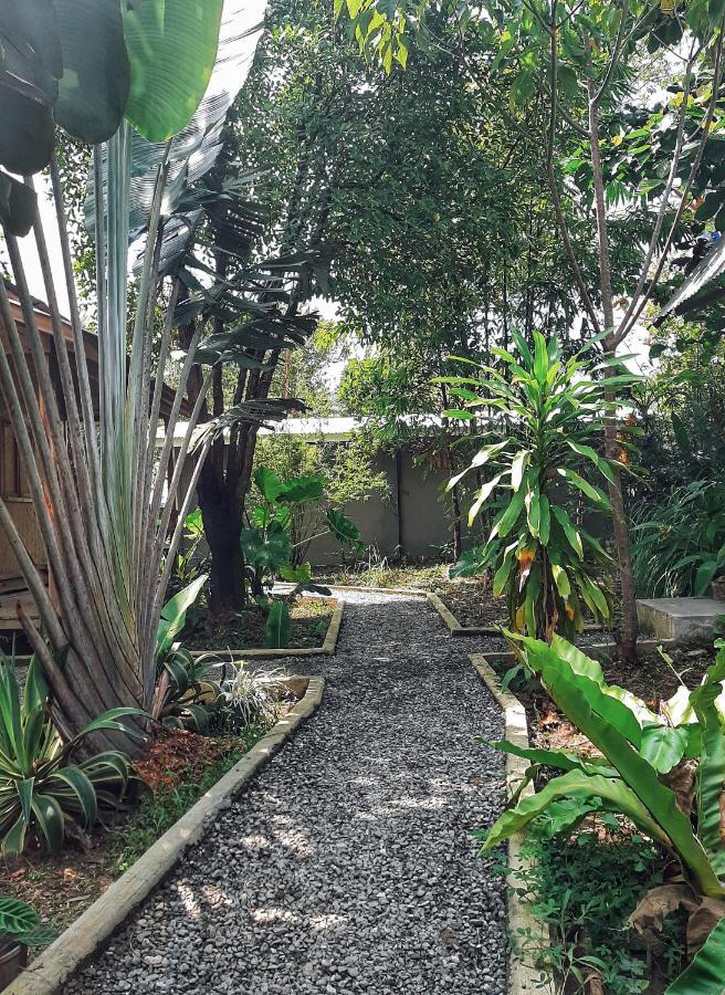 Cabanas De Nacpan Camping Resort El Nido Kültér fotó