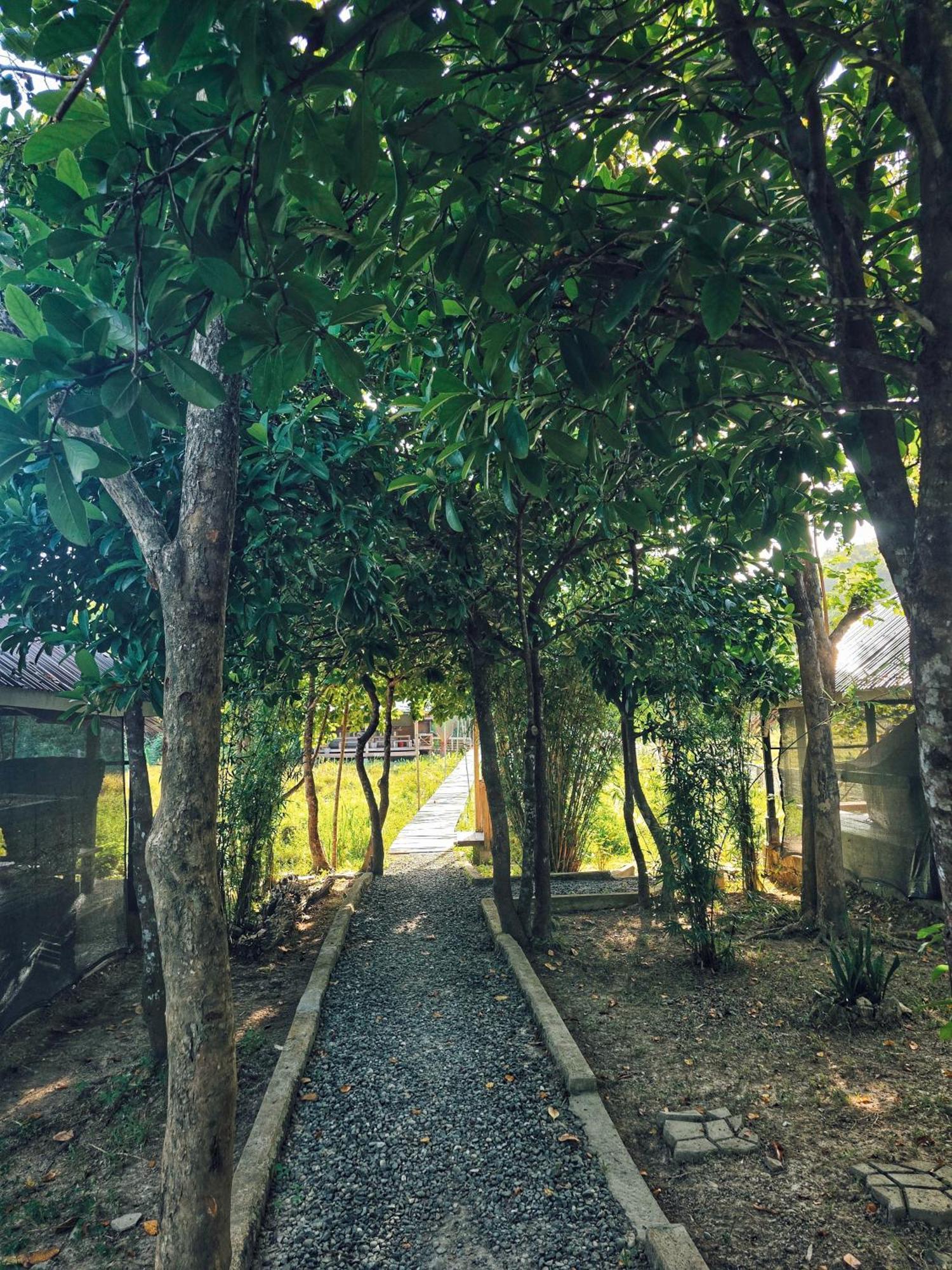 Cabanas De Nacpan Camping Resort El Nido Kültér fotó