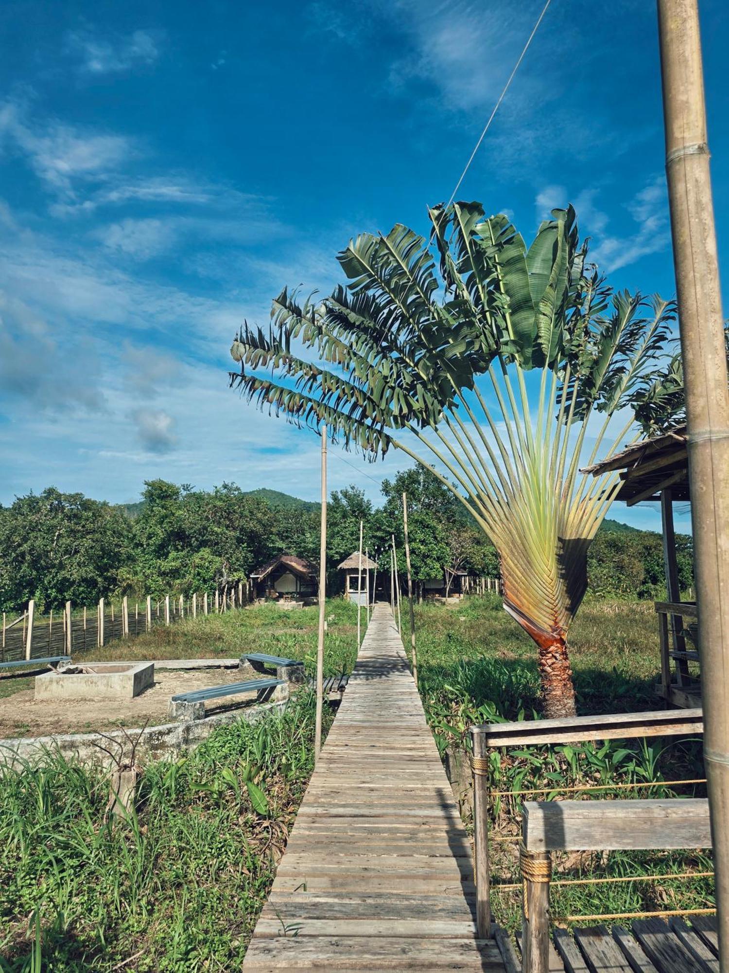 Cabanas De Nacpan Camping Resort El Nido Kültér fotó